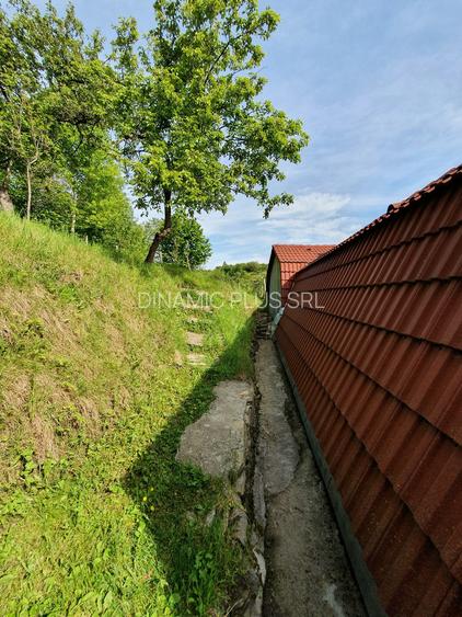 Vind vila in satul ROD- Pe drumul TRANSALPINA - 3