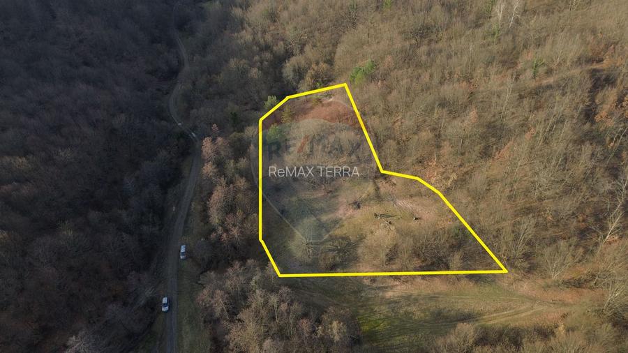 Poiană pentru cabana de vanzare intravilan Coas - 4