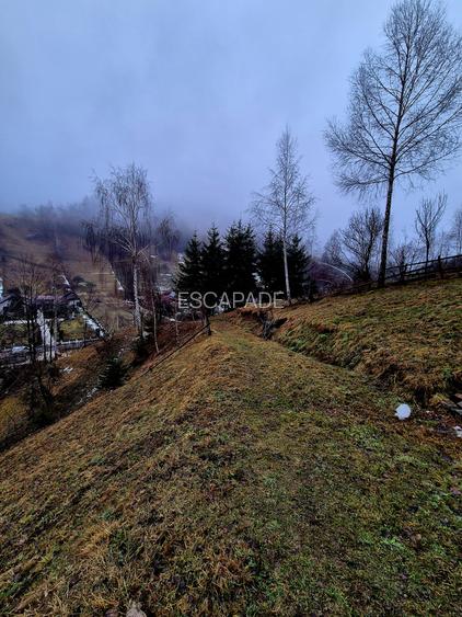 Teren intravilan Simon/Bran, 4318 mp , casuta intabulata, utilitati - 31