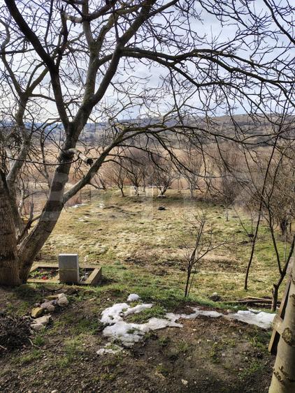 Casa individuala 100 mp utili, teren 903 mp, Martinesti - 9