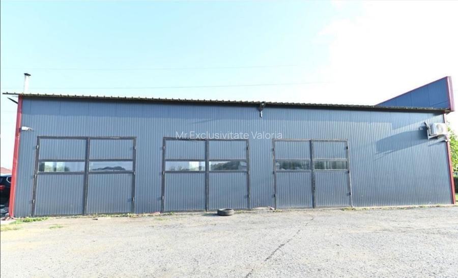 De vanzare proprietate Podari – 2 hale industriale + casa și spatiu recreativ - 14