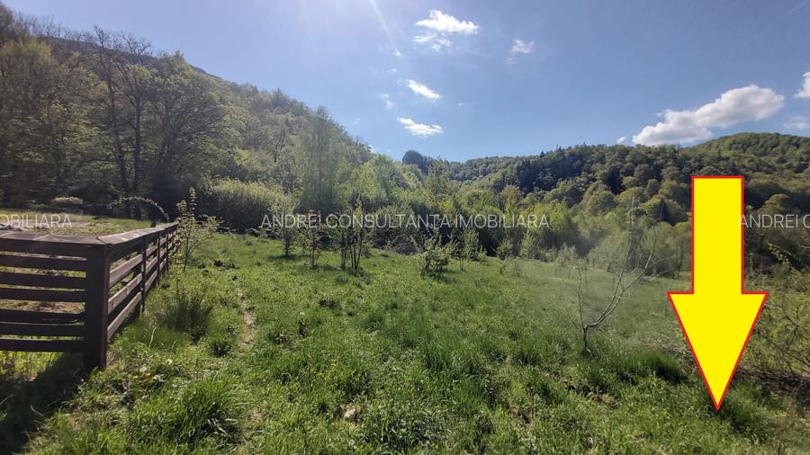 Vanzare 1266 mp teren superb Cheile Rasnoavei la munte langa padure si pensiuni - 13