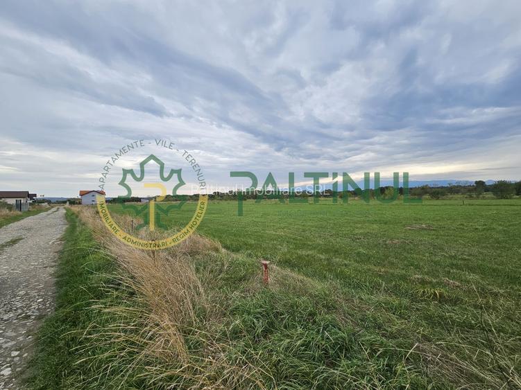 Teren intravilan in cartierul arhitectilor, Sibiu - 10