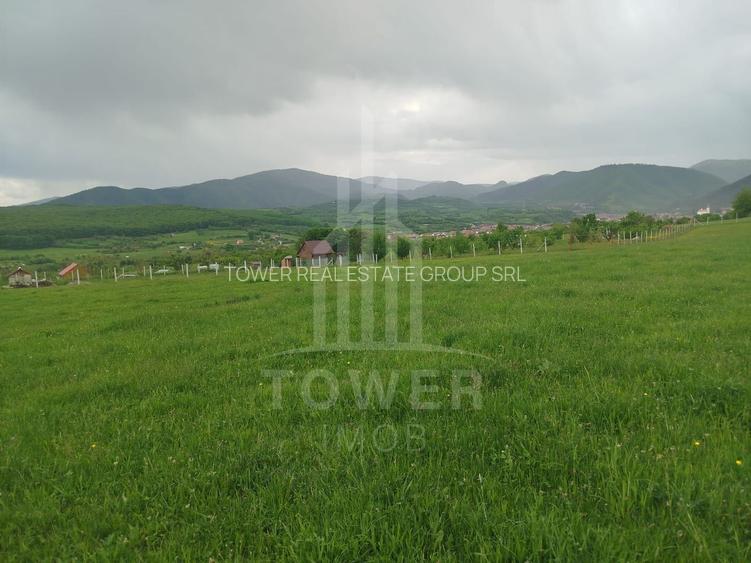 Teren de vinzare in Tropini Vechi - 6