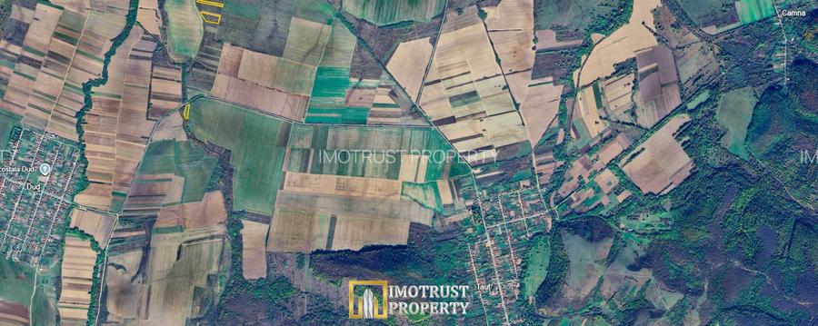 Terenuri agricole de vânzare în Arad – Comuna Tăuț - 2