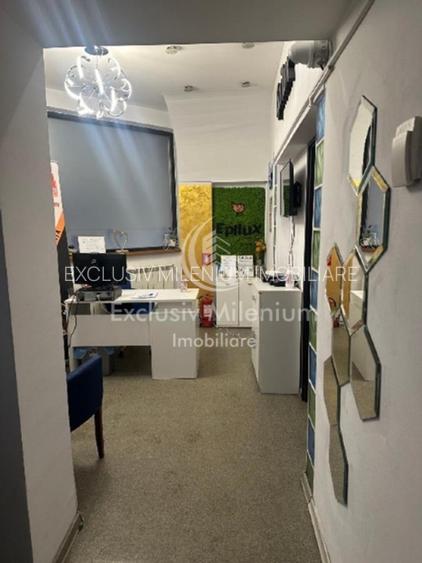 Victoriei Birouri /Vila Pasaj Basarab - Nicolae Titulescu Banu Manta - 8