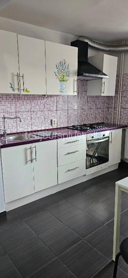 Apartament 2 camere, Dristor, Renovat - 4