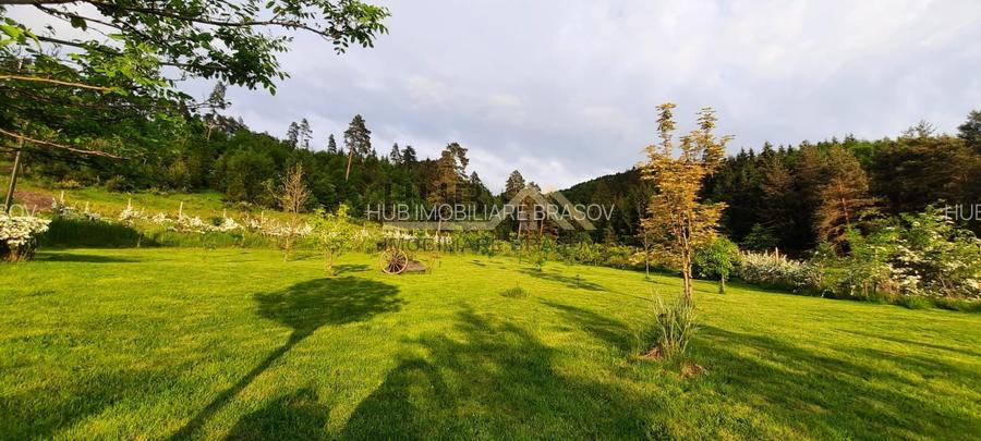 De Vanzare Casa tip Tiny House | Teren 5.400mp cu PUZ aprobat | 6 case A-Frame - 8