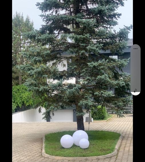 Snagov ghermanesti  vila mobilata  lux 5 cam 5 bai  - 6