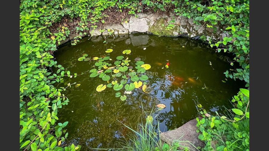 Casa la cheie ,confort si eleganta. - 29