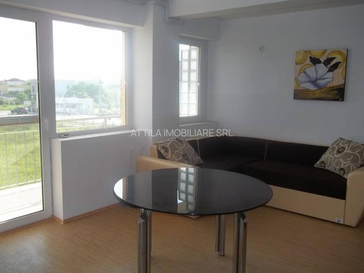 Dumbravita 2 camere 350 euro - 3