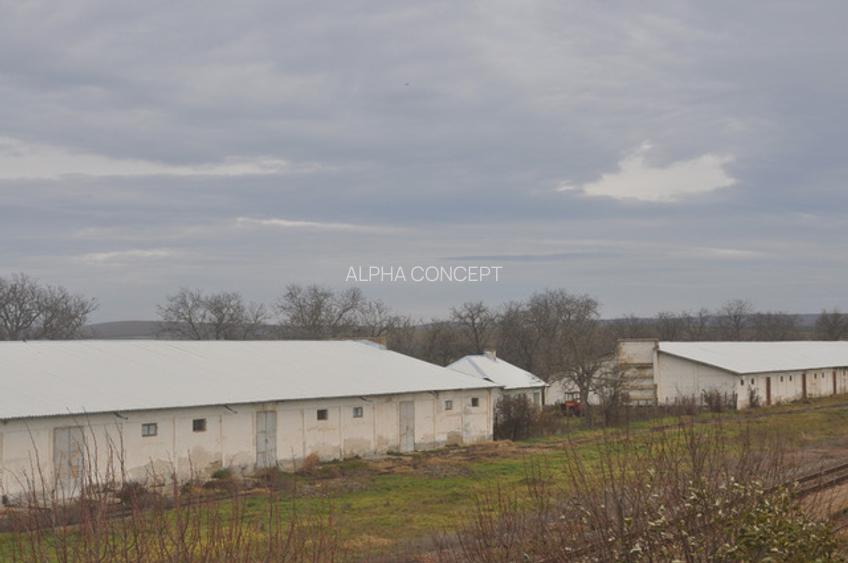 DEPOZIT CEREALE - CEAMURLIA DE JOS/STATIA CFR TVA INCLUS - 9