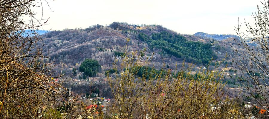 Teren Breaza 2623mp , pot 35% , cut 1,2 conform cert urb.intravilan - 2