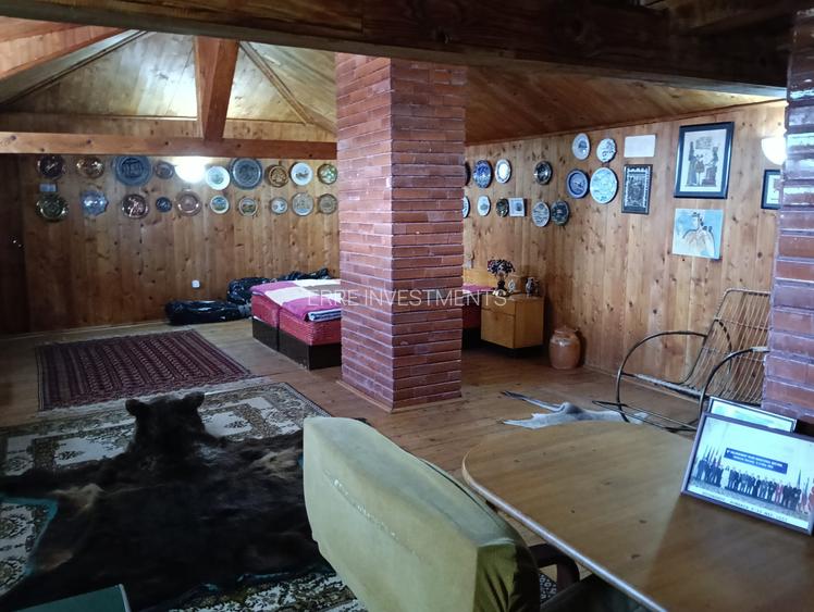 Casa interbelica, renovata total, centrul Perisului, cu vedere la lacul Cocioc - 6