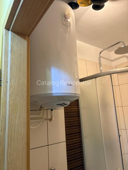 Apartament cu 4 camere de vanzare in zona Mosilor - Eminescu - 22