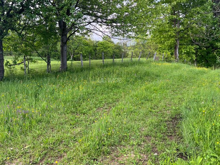 Vand teren intravilan loc.Hartagani HD - 2