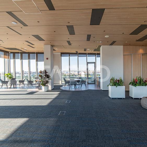 Birouri premium in Sibiu–Spatii flexibile moderne pentru companii - 3