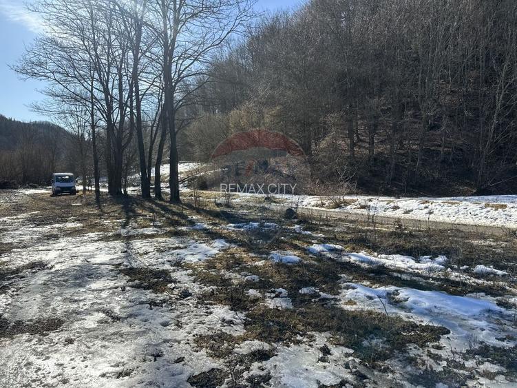 Teren 1,340mp Cuejdiu / Strada Cuejdiului - 4