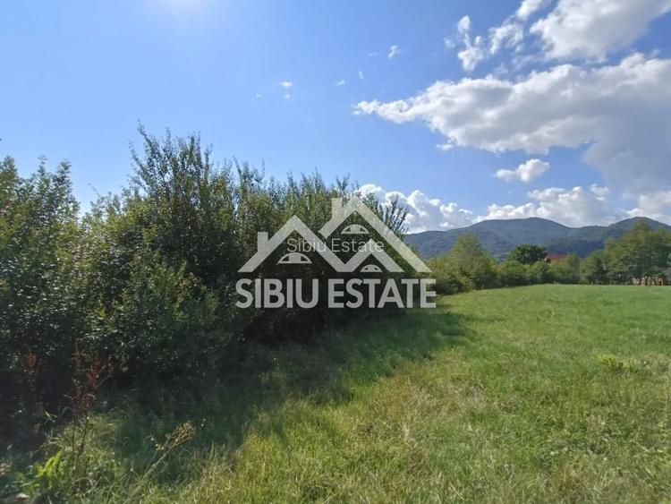 Teren  construibil ,la sosea, intre Vale si Sibiel, zona cu potential - 7