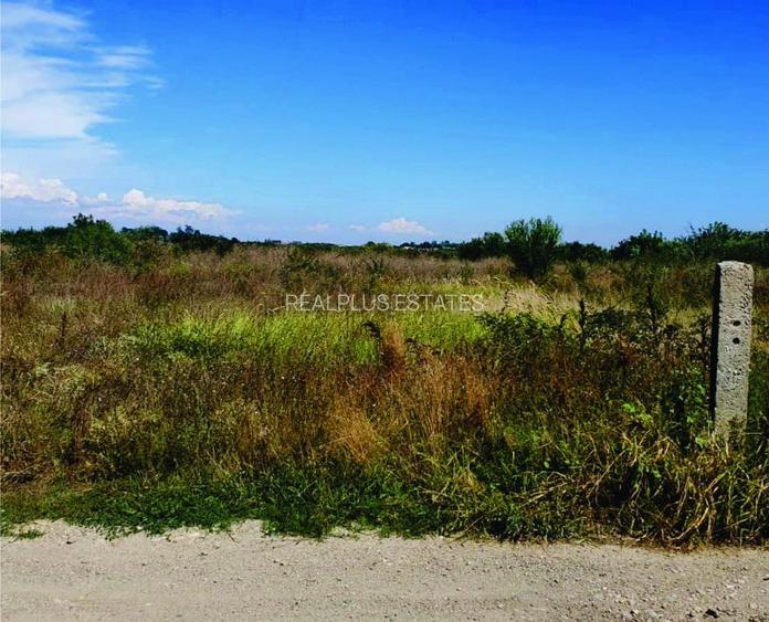 TEREN LA LAC - direct de la proprietar - 2700 mp - SAMURCAȘI- CREVEDIA - 5