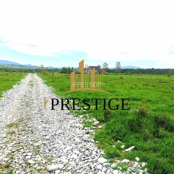 Teren Valea Avrigului – 1.000 mp | 1 km Dino Park | 25 €/mp - 6