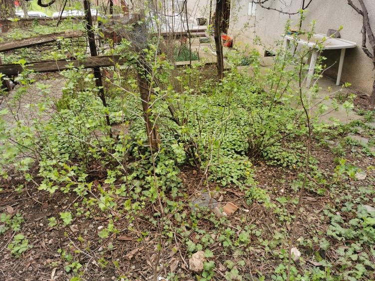 Apartament 5 camere pe 2 niveluri zona Central - 17