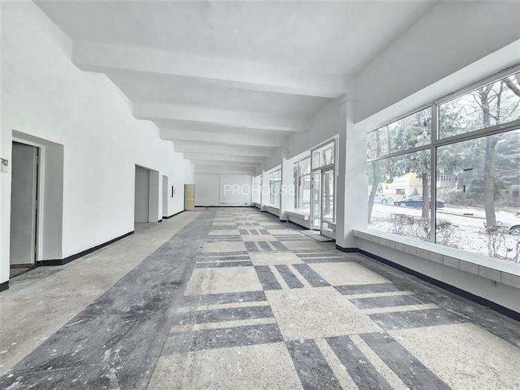 Spatiu Comercial, 250mp, Narcisa-ONIX - 5