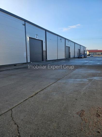 Hala 590 mp Afumati- Doraly - 3