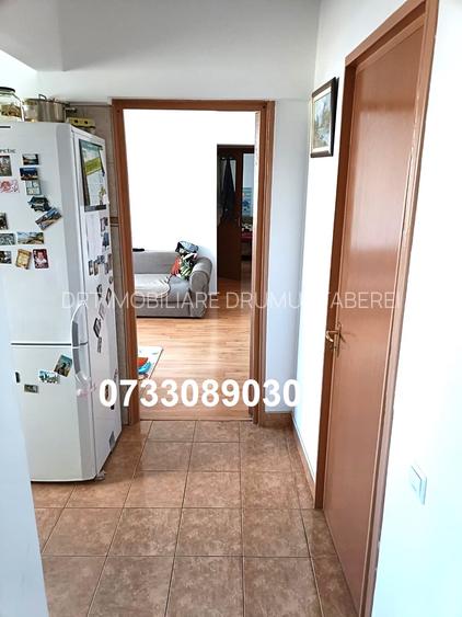 Drumul Taberei, Parc Moghioros, - 8