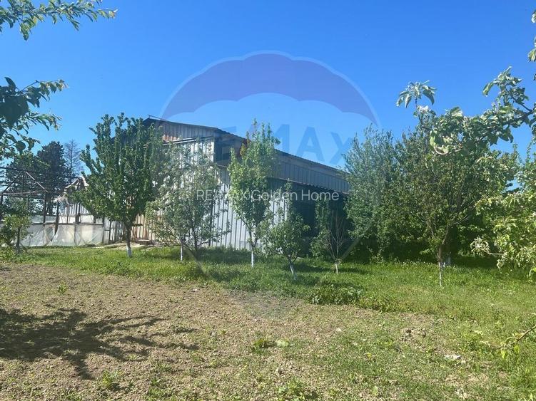 Spatiu industrial Campineanca - 7