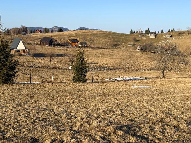 Teren satul Sirnea, intravilan, deschidere 120 m la drum asfaltat,  - 3