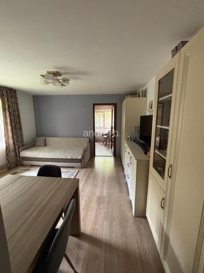 Apartament 3 camere ultracentral – 52 mp, parter, mobilat/utilat - 12