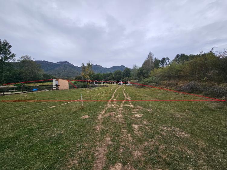 Teren Tohanita-Zarnesti 5000 mp - 5