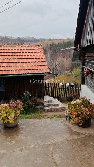 Se vinde casă cu teren aferent  - 3