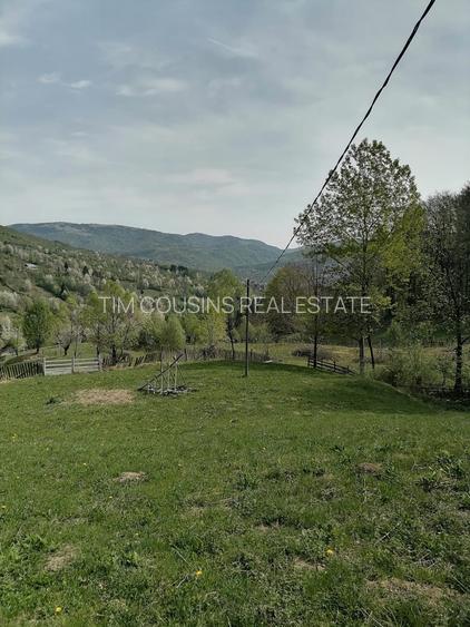 Vanzare teren exceptional, Valea Doftanei, Florei-Secaria, 22000mp, 250 000 euro - 5