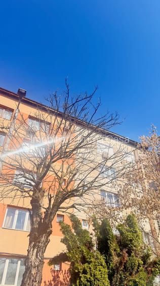 OFERTA PRIMAVERII! Apartament 2 camere – zonă centrală Coșbuc – Unirii ! - 6