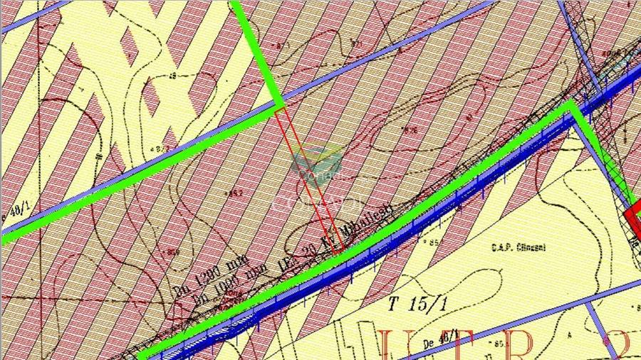 Teren Clinceni 5.792 mp - 8