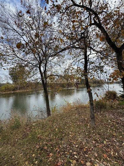 De vanzare Casa vila openspace P+M Relax naturi Mures trei insule Arad - 18