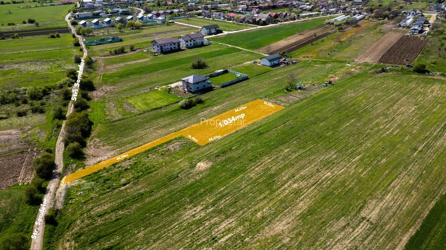 Teren intravilan, 1034 mp, Dumitrana, Ilfov, la doar 17 Km de capitală - 4