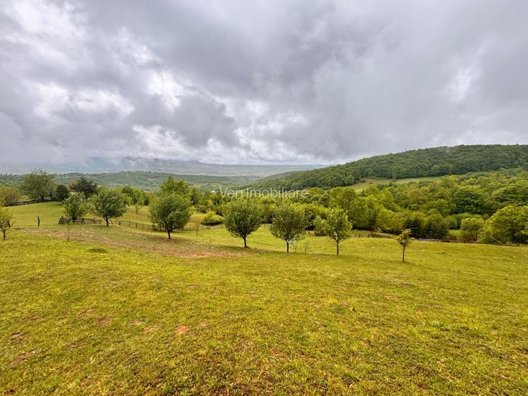 Teren extravilan cu potențial turistic – 5 ha în Josenii Bârgăului - 3