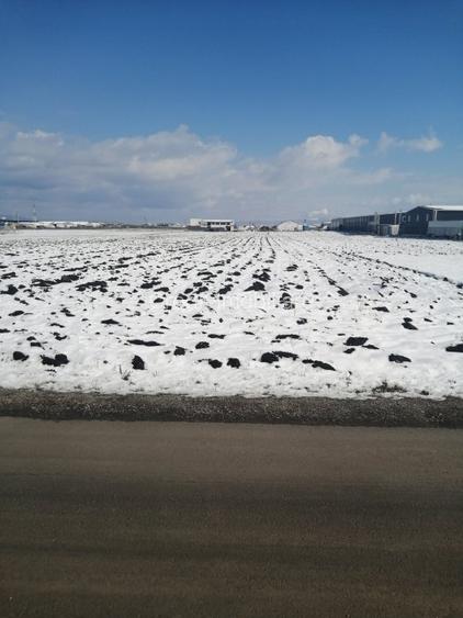 Teren de vanzare zona industriala - 3