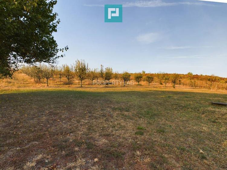 Pivnițele Birăuaș D.O.C Miniș - RATE FĂRĂ DOBÂNDĂ - 42