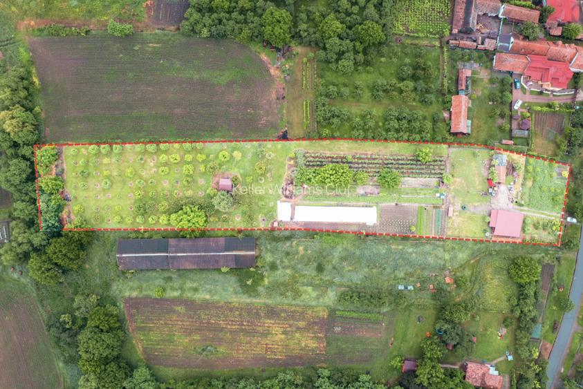 Viseaza, construieste, culege: Livada Paradisului - De Vanzare - 12