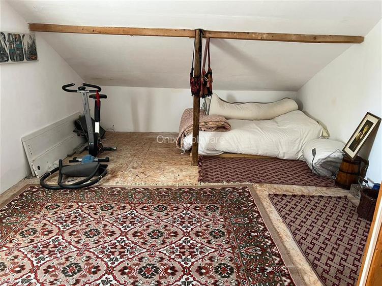 Casa de vanzare in Cocorastii Caplii la 7 KM de Campina - 9