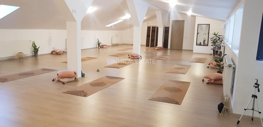 Studio sau birouri mansarda Universitate - strada Sfintilor 6 - 3