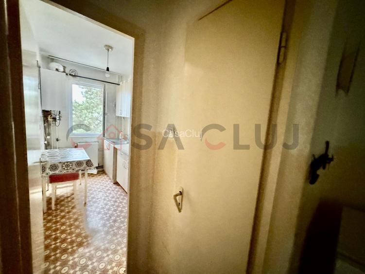 Luminos, etaj intermediar, poziționare excelentă, Mănăștur - 8