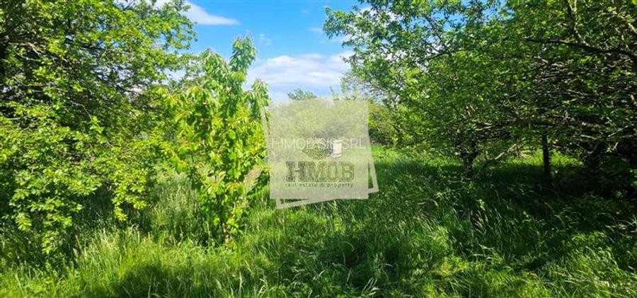 Casa cu vedere spre M-tii Fagaras | Intimitate totala | Daia Noua - 15