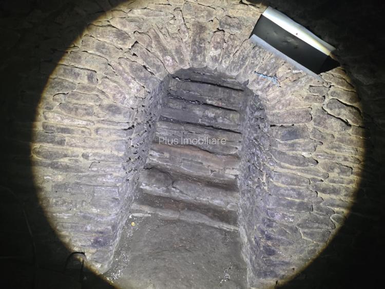 Casa  moderna mobilata cu beci 165mp +3000mp teren Cotnari - 38