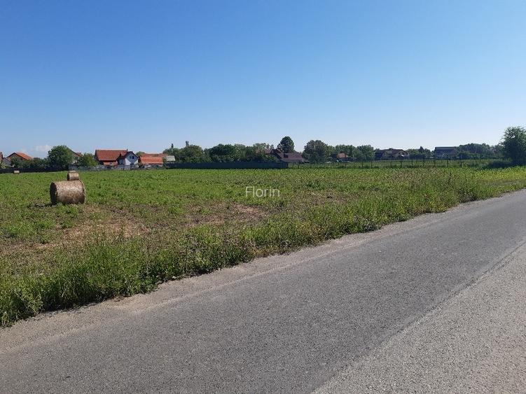 Vand teren intravilan construibil utilitati drum asfalt central Lunca Calnicului - 11
