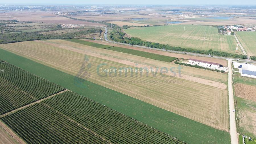 Teren intravilan de vanzare, 66400 mp, langa Oradea, Bihor  - 4